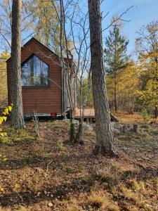 GrillbyにあるVerkestaberg by Tiny Awayの二本の木の間の小屋