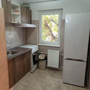 eine kleine Küche mit Spüle und Fenster in der Unterkunft Hunedoara Central Stay in Hunedoara