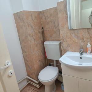 ein Badezimmer mit Toilette und Waschbecken in der Unterkunft Hunedoara Central Stay in Hunedoara