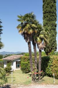 zwei Palmen vor einem Haus in der Unterkunft 16th Century Townhouse, Large Garden Near Lake, Tuscany and Umbria - Sleeps 18 in Gioiella