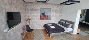 a bedroom with a bed and a flat screen tv at Apartman Park in Novi Pazar
