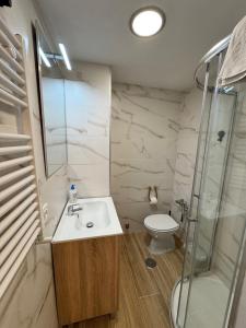a bathroom with a sink and a shower and a toilet at Precioso apartamento en San Isidro , ski , snow in San Isidro +50 photos