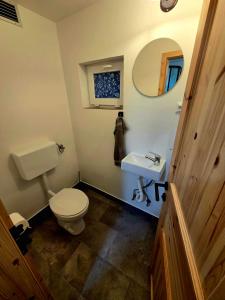 a bathroom with a toilet and a sink and a mirror at Apartma Pr'Komarjo in Zgornje Gorje +9 photos