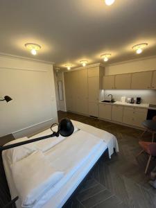 Cozy and quiet apartment in the city centre في بوزنان: غرفة مستشفى بسرير ومطبخ