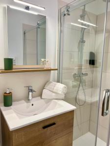 ein Badezimmer mit Waschbecken und Dusche in der Unterkunft Le St Exupéry Charmant et Spacieux Parking gratuit in Fronton