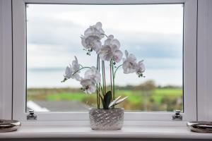 Φυσικό τοπίο κοντά σε αυτή η παραθεριστική κατοικία +57 φωτογραφίες