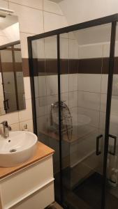 a bathroom with a sink and a glass shower at Holiday home Vukovoj in Klenovnik