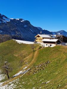 Příroda nedaleko farmy