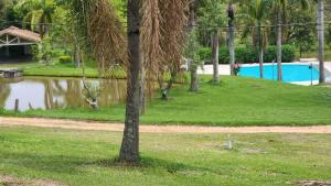 a tree in the grass next to a body of water at Quinta das Águas Hotel in Itapira