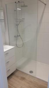 コクセッドにあるMalouki Koksijde - 4 star appartment with magnificent sea viewの浴室のガラス扉付きシャワー