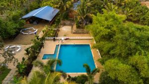 Swimmingpoolen hos eller tæt på Dandeli Jungle Valley Resort