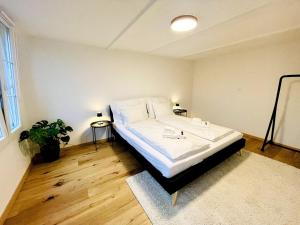 Φωτογραφία από το άλμπουμ του -TheUrbanist- Central 2 BD Free Parking Fast WiFi σε Unterseen