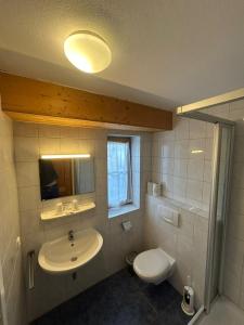 a bathroom with a sink and a toilet and a mirror at Hotel Gasthaus Aujäger in Egling