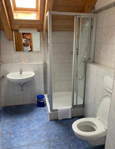 a bathroom with a shower and a toilet and a sink at Hotel Gasthaus Aujäger in Egling