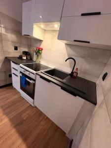 a kitchen with a sink and a stove at Zakątek Centrum 3 in Suwałki