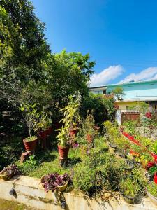 un jardin avec de nombreuses plantes en pots dans l'établissement Emnic Cottage Homestay, à Meppādi 49 autres photos