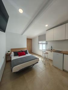 Un dormitorio grande con una cama y una cocina. en Hostal Casa Miguel Marbella, en Marbella