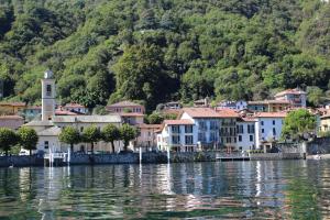 een klein stadje aan de oever van een waterlichaam bij Domus Graziana - Lake Front in Oliveto Lario +18 foto's