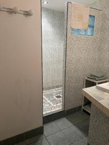 une douche avec une porte vitrée dans une salle de bain dans l'établissement Maison Colibri, à Salies-de-Béarn 20 autres photos