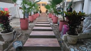a pathway lined with potted plants in a building at F2 équipé à Fann Hock in Dakar