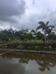 Příroda nedaleko hotelu