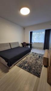 a bedroom with a bed and a table and a rug at Modern Studio Craiova in Craiova