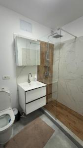 a bathroom with a shower and a sink and a toilet at Modern Studio Craiova in Craiova