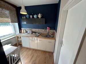 een keuken met blauwe muren en een aanrecht bij Brandt Apartments in Erfurt +27 foto's