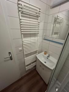 een witte badkamer met een wastafel en een spiegel bij Brandt Apartments in Erfurt