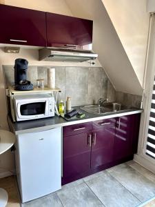 a small kitchen with purple cabinets and a microwave at Au Nichoir in Erstein +2 photos