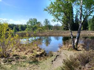 DiffelenにあるGeniet flink in de Appelvinkの樹木の池 +10枚の写真