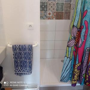 a bathroom with a shower with a shower curtain at une terrasse en ville in Langon