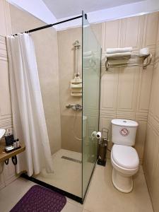 a bathroom with a toilet and a glass shower at Hotel Fjor in Prizren