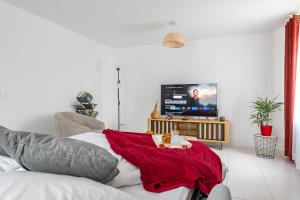 a living room with a couch and a tv at La Rochoise - Parking, Wifi, proche Fontainebleau in La Grande-Paroisse