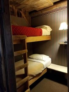 ein Etagenbettzimmer mit zwei Etagenbetten und einer Leiter in der Unterkunft Comfortable Room Rental for a Vacation in Poweshiek County, Iowa in Montezuma