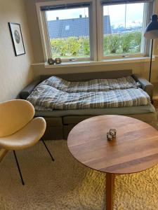 a room with a bed and a table and a window at Comfy apartment in Tromsø in Tromsø