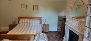 a bedroom with a bed and a fireplace at The Meadow Suite, Enholmes Hall in Patrington
