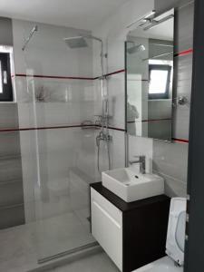 a bathroom with a sink and a glass shower at Ren Litoral in Năvodari