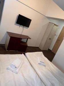 TV a/nebo společenská místnost v ubytování Restaurant Casa Nicolenco Azuga by Genco