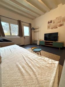 Μια τηλεόραση ή/και κέντρο ψυχαγωγίας στο Cœur de Ville - familial - Parking gratuit - WIFI +14 φωτογραφίες