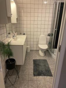 a bathroom with a sink and a toilet and a shower at Comfy apartment in Tromsø in Tromsø