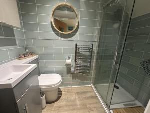 a bathroom with a shower and a toilet and a sink at Beachside in Ferryside +19 photos