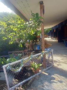 een kooi vol planten in een gebouw bij คอปเตอร์ Resort in Ban Khlot +4 foto's