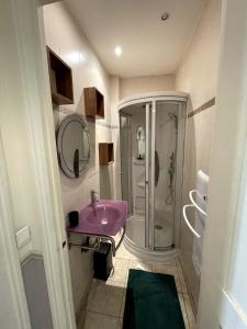 ein Badezimmer mit einem lila Waschbecken und einer Dusche in der Unterkunft Elegant 2-bedroom apartment near Paris & Château de Vincennes in Nogent-sur-Marne