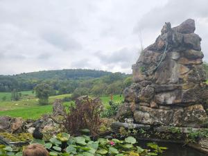 a person standing in front of a rock garden at Pension Forellenhof in Bad Soden-Salmünster