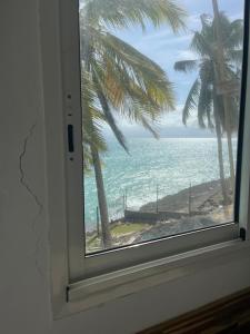 a window with a view of the ocean and palm trees at Guadeloupe Ilet Gosier best view in Le Gosier