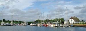 a group of boats docked in a harbor at Apartment Neuendorf - Hiddensee 1 in Neuendorf +2 photos