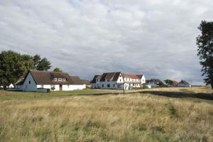 a group of white houses in a field at Apartment Neuendorf - Hiddensee 1 in Neuendorf