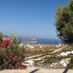 圣乔治亚海滩Villa Saint Georges的享有水景和树木景