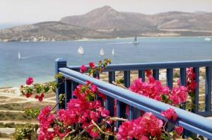 a blue railing with pink flowers in front of a beach at Villa Argos in Agios Georgios